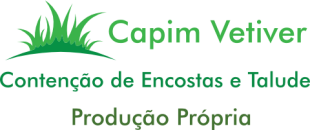 Capim Vetiver